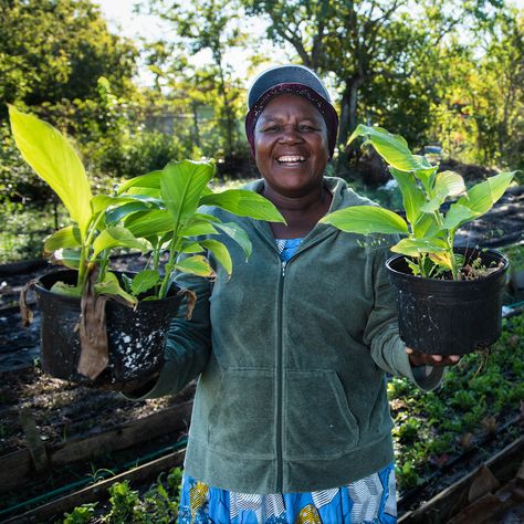 Find Local Farms & Organic Produce, Support Food Justice In Houston Houston Farmers Market, Food Justice, Community Supported Agriculture, Farming Business, Ways To Show Love, Organic Produce, Local Farm, Organic Farming, Urban Farming