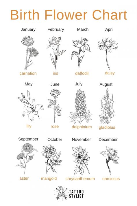 Birth Flower Chart infographic December Flower Tattoo, Narcissus Tattoo, December Flower, December Birth Flower, Flower Bouquet Tattoo, September Birth Flower, October Birth Flowers, February Birth Flowers, May Birth Flowers