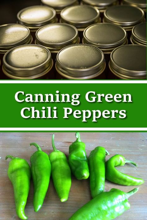 Canning Cowboy Candy, Canning Vegetable Soup, Chili Canning Recipe, Green Chili Sauce Recipe, Homemade Green Chili, Canning Chili, Canning Granny, Hatch Green Chili, Green Chili Sauce