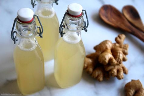 This probiotic-rich, naturally fizzy homemade ginger ale is easy to make and super delish. Ginger Ale Recipe, Homemade Ginger Ale, Ginger Bug, Ale Recipe, Soft Gingerbread Cookies, Homemade Soda, Ginger Syrup, Fermented Drink, Ginger Recipes