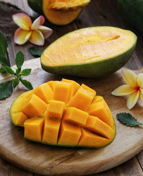 Tropical Fruit Photography, Mango Images, Potted Fruit Trees, Fruit Picture, Mango Fruit, Fruit Photography, Best Fruits, Healthy Fruits, Fruit Art