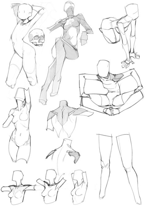 Some Sketches, Human Anatomy Drawing, Human Anatomy Art, Anatomy Sketches, Body Reference Drawing, Model Sheet, Have Inspiration, 캐릭터 드로잉, Anatomy Drawing