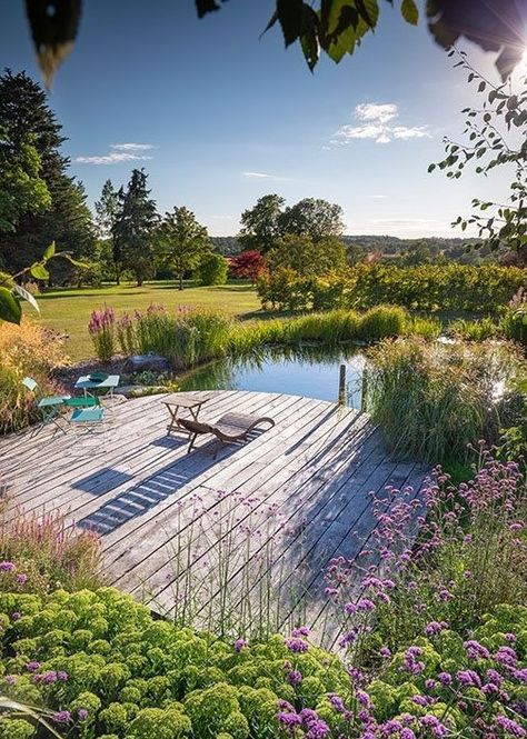 Pond Landscaping Ideas Large, Large Backyard Pond, Large Pond Landscaping, Trap Tattoos For Women, Halloween Ceiling, Felt Halloween Decorations, Halloween Haunted House Decorations, Natural Swimming Ponds, Wooden Deck