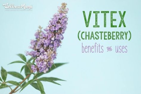 Vitex or Chaste Tree Benefits for Female Health | Wellness Mama Chaste Tree Benefits, Chasteberry Benefits, Vitex Benefits, Vitex Tree, Herb Benefits, Natural Headache Relief, Benefits Of Berries, Natural Remedies For Cold, Natural Headache