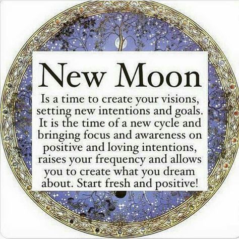 Happy new moon! You Are My Moon, Moon Spells, New Moon Rituals, Moon Journal, Full Moon Ritual, Under Your Spell, Sup Yoga, Moon Cycles, Luna Lovegood