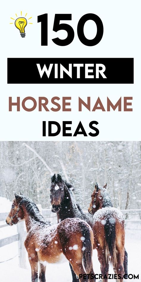 Discover 150 winter horse name ideas perfect for the snowy season! From frosty-inspired names to holiday-themed classics, find the ideal name for your horse. Cool Horse Names, Unique Horse Names, Horse Name Ideas, Cow Names, Winter Horse, Icelandic Horse, Horse Names, Name Ideas, Cool Names