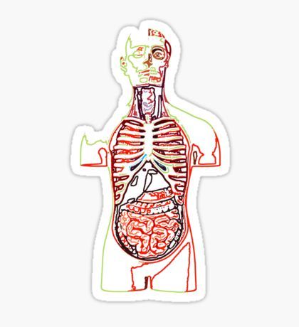 Human Medical Anatomy biology t shirt Sticker Biology Stickers Goodnotes, Physics Stickers, Cute Biology Stickers, Human Anatomy Stickers, Microbiology Stickers Printable, Anatomy And Physiology Stickers, Fall Fitness Challenge, Biology Stickers, Sticker Design Ideas