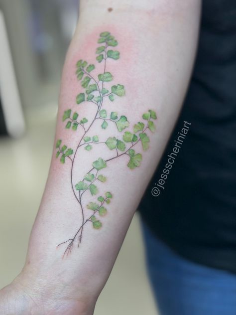 A forearm tattoo of a maiden hair fern sprig. Tattooed in colour. Maidenhair Fern Tattoo, Botanical Tattoos, Maiden Hair, Fern Tattoo, Maidenhair Fern, Scar Tattoo, Amazing Tattoos, Plant Tattoo, Botanical Tattoo