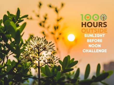 Blog 2 — 1000 Hours Outside Hiking Michigan, Night Schedule, 1000 Hours Outside, Human Physiology, Morning Sunlight, Nature Play, Mom Jokes, Day And Night, Parenting Advice