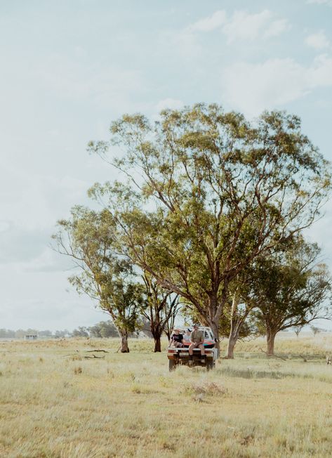 Farm Australia Country Life, Rural Australia, Country Sunset, Australian Country, Australian Farm, Country Photography, Australia Country, Coastal Country, Farm Wife