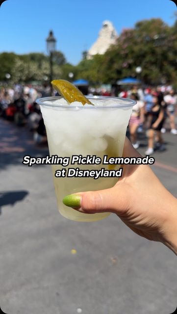 Jasmine Belle Pak on Instagram: "Finally got to try Disneyland’s new sparkling 🥒PICKLE LEMONADE🍋!!!  As a pickle lover (who may or may not sip on the pickle juice from the bottom of the jar), I was pretty excited about this!  🍽️ Sparkling Pickle Lemonade - $6.99 📍Refreshment Corner (Main Street, Disneyland)  🥒PICKLE POLL 🥒 Where my fellow pickle-lovers at?" Pickle Lemonade, Pickle Lover, Pickle Juice, Lemonade Recipes, The Jar, Dill Pickle, Disney Food, Easy Snacks, Main Street