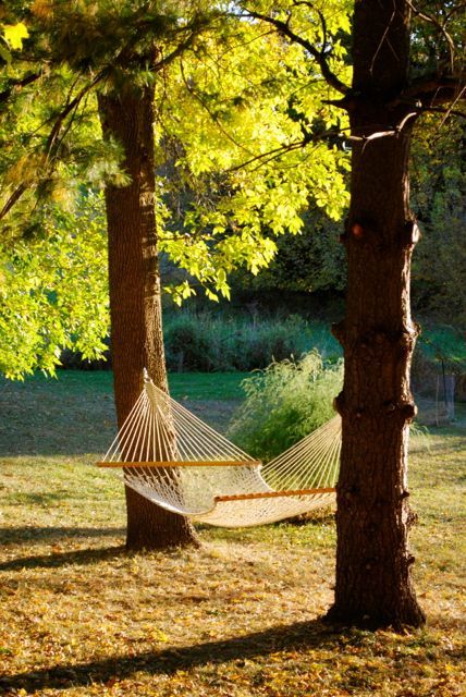 Hammock In Trees, Hammock Under Tree, Hammock In Forest, Hammock Between Trees, Hammock Aesthetic, Hammock Photography, South Of France House, Hammock Tree, Tree Hammock