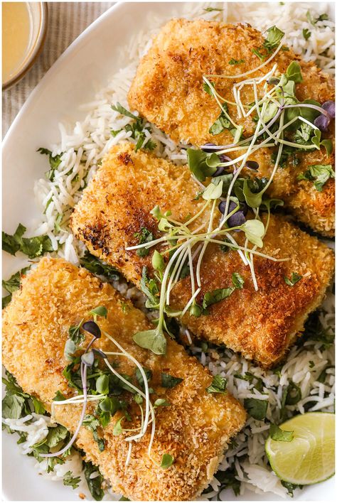 Coconut Crusted Mahi Mahi Recipes, Mahi Mahi Coconut Rice, Coconut Mahi Mahi, Stove Top Mahi Mahi Recipes, Pecan Crusted Mahi Mahi, Coconut Mahi Mahi Recipes, Macadamia Crusted Mahi Mahi, Mahi Mahi Recipes Aip, Breaded Mahi Mahi Recipes