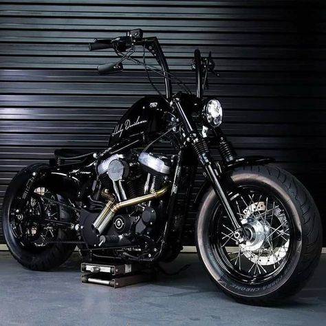 Harley Davidson Sportster 1200 Custom, Motorcycle Family, Hd 883 Iron, Harley Sportster 48, Harley Davidson Motorcycles Sportster, Motocykle Harley Davidson, Harley 48, Mafia Boy, Xjr 1300