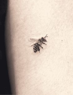 Bee On Wrist Tattoo, Mason Bee Tattoo, Honey Bee Tattoo Men, Black And White Bee Tattoo, Bee Tattoo Black And White, Black Bee Tattoo, Realistic Bee Tattoo, Little Bee Tattoo, Small Bumble Bee Tattoo