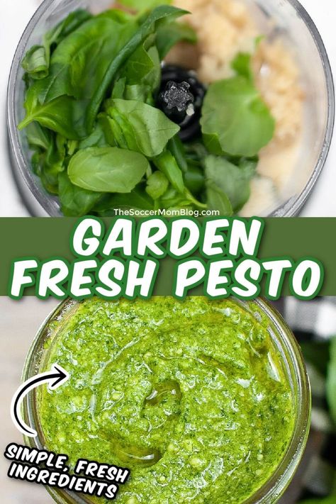 Add authentic Italian flavors to any dish with this Homemade Fresh Basil Pesto! Simple ingredients and just minutes to make! Easy Basil Pesto Recipe, Pasta With Roasted Vegetables, Easy Basil Pesto, Fresh Basil Pesto Recipe, Fresh Basil Pesto, Basil Pesto Recipe, Homemade Pesto Recipe, Make Pesto, Homemade Pesto Sauce