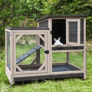 Tucker Murphy Pet™ Outdoor Rabbit Hutch,Small Animal Houses & Habitats,Rabbit Cage Bunny Hutch With Run | Wayfair Outdoor Rabbit, Outdoor Rabbit Hutch, Bunny Cage, Bunny Hutch, Cozy Loft, Indoor Rabbit, Large Rabbits, Rabbit Cages, Bunny Cages