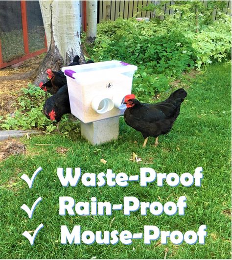 The Waste-Proof, Rain-proof, Mouse-proof Chicken Feeder - Revolutionary Chicken Rain Proof Chicken Feeder, Self Feeding Chicken Feeder, Waterproof Chicken Feeder, Covered Chicken Feeder, Mouse Proof Chicken Feeder, Chicken Feeding Station, Rodent Proof Chicken Feeder, Goat Proof Chicken Feeder, Rat Proof Chicken Feeder