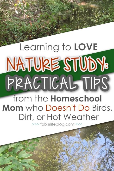 Not a fan of all things outdoors? Here's how I enjoy nature study with my kids despite the fact that I'm not into birds, getting dirty, or hot weather. Nature Lessons, Homeschool Nature, Homeschool Nature Study, Homeschool Routine, Tree Study, Nature School, Homeschool Help, Charlotte Mason, Outdoor Learning