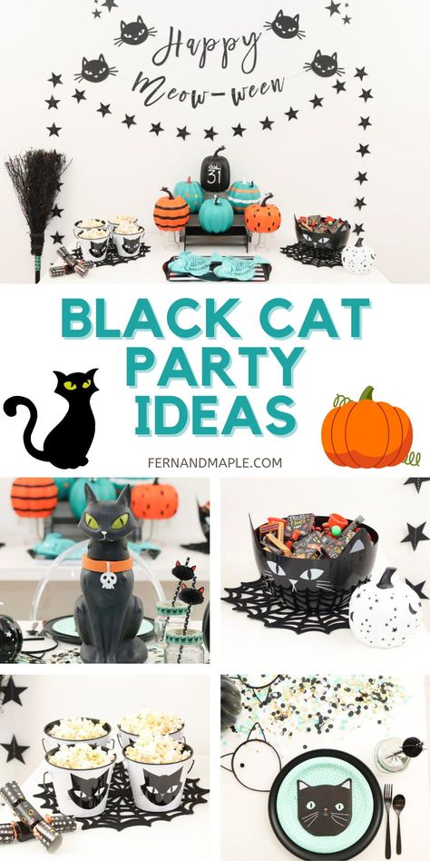 Throw the purr-fect Black Cat Halloween themed party for all of the cat-loving kids in your life with these decorating ideas from www.fernandmaple.com! Cat Themed Halloween Party, Cat Theme Halloween Decor, Black Cat Decorations, Halloween Cat Birthday, Black Cat Halloween Party, Cat Halloween Decor, Black Cat Party Decorations, Black Cat Halloween Party Ideas, Black Cat Trunk Or Treat Ideas