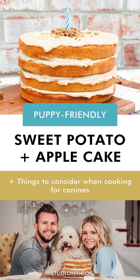 Birthday Cake For Puppies, Healthy Dog Birthday Cake Recipe, Egg Free Dog Cake, Sweet Potato Pup Cakes, Sweet Potato Cake For Dogs, Dog Birthday Cake Sweet Potato, Pumpkin Apple Dog Cake, Dog Birthday Cake Healthy, Apple Cake For Dogs