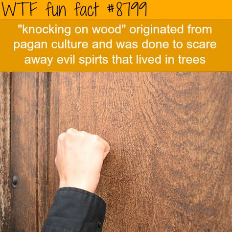 Knock, knock & "who's there?" Weird Facts You Didnt Know Funny, Interesting Fun Facts Mind Blowing, Pagan Culture, Did U Know Facts Mind Blown, Did You Know Facts Mind Blown Science, Movie Facts You Probably Didn't Know, Facts Funny, Knock On Wood, Unusual Facts