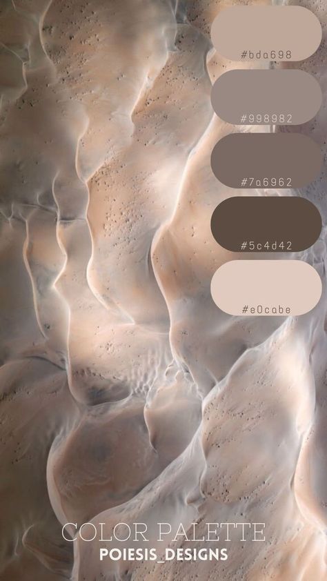 Pebble Colour Palette, Divine Feminine Color Palette, Oyster Color Palette, Quartz Color Palette, Warm Grey Color Palette, Blue Grey Palette, Pearl Color Palette, Minimalist Moodboard, Warm Neutral Color Palette