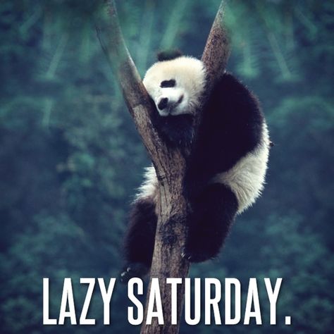 LAZY SATURDAY quotes  #lazy saturday -  #weekend  #holyholy Lazy Saturday Quotes, Charlie Brown Quotes, Weekend Greetings, Sunday Morning Quotes, Saturday Vibes, Brown Quotes, Saturday Quotes, Weekend Coffee, Lazy Saturday