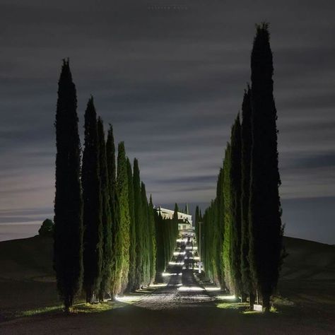 Tuscany Things To Do In Italy, Toscana Italia, Living In Italy, Formal Gardens, Italy Vacation, Tuscany Italy, Alam Yang Indah, Dream Home Design, My Dream Home