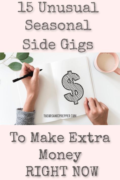 'Tis the season to need some extra cash. Here are 15 unusual seasonal side gigs to help you bring in some money right now. Survival Wallpaper, Side Gigs Extra Cash, Loan Calculator, Home Equity Loan, Survival Camping, Cash Loans, Make Extra Money, Side Gigs, Side Money