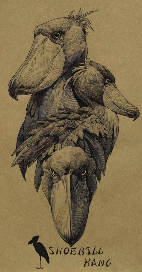 Kang Meng, Shoebill Bird, Animal Tattoo Ideas, Dog Portraits Art, Bunny Painting, Desenho Tattoo, Arte Inspo, Foto Art, Big Bird