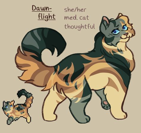 Tigerstar I Warrior Cat Apprentice Oc, Cat Oc Designs, Tigerstar Warrior Cats, Clangen Art, Warrior Cats Ideas, Clangen Cats, Warrior Cats Ocs, Warrior Cats Au, Warrior Cats Oc Design