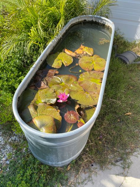 outside bathtub with lily pads in it, cute pond back yard idea Bathtub Outside, Outside Bathtub, Garden Plan, Water Lilly, Dream Garden, Garden Planning, Lily Pads, My Dream Home, Hot Tub