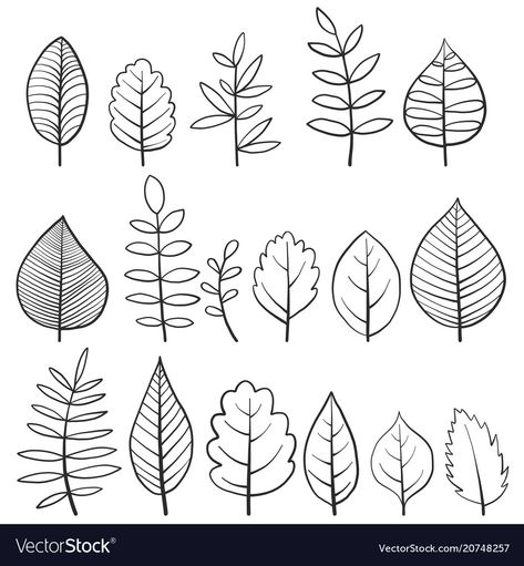 Doodle Tree, Doodle Leaves, Tree Drawing Simple, Leaves Doodle, Tree Doodle, Drawing Doodles, Vector Doodle, Floral Doodle, Doodle Art Journals