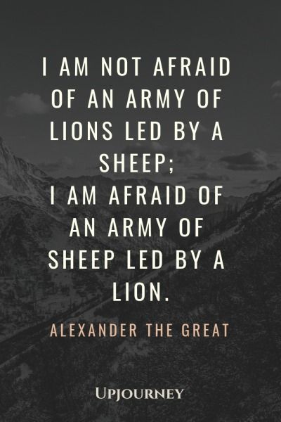 I am not afraid of an army of lions led by a sheep; I am afraid of an army of sheep led by a lion - Alexander The Great. #quotes #war #army #sheep #lion Alexander The Great Quotes, Lion Quotes, Military Quotes, I Am Not Afraid, History Quotes, Army Quotes, A Sheep, Warrior Quotes, Knowledge Quotes