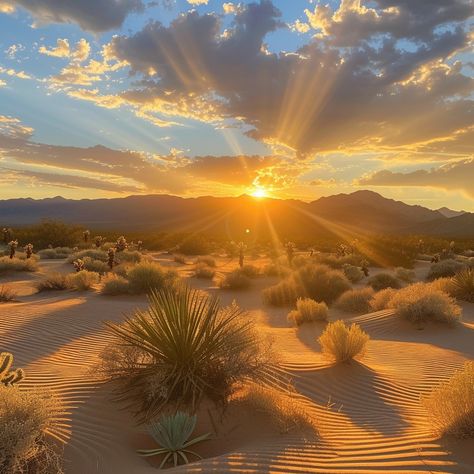 Desert Sunset Rays: A breathtaking desert sunset with radiant sunbeams piercing through the clouds above sandy dunes. #sunset #desert #sunbeams #clouds #sand #dunes #tranquility #golden #aiart #aiphoto #stockcake https://ayr.app/l/963R Desert Sunrise Photography, Desert Landscape Sunset, Desert Landscape Photography, Mexican Desert, Sunrise Mountain, Desert Sunrise, Desert Sun, Desert Environment, Fantasy World Map