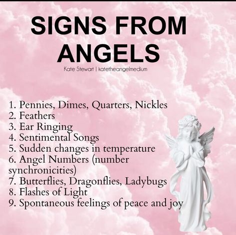 Angel Meditation, Angel Spirit, Archangel Prayers, Spirit Signs, Angel Blessings, Angel Signs, Angel Quotes, Angel Guide, Angel Prayers