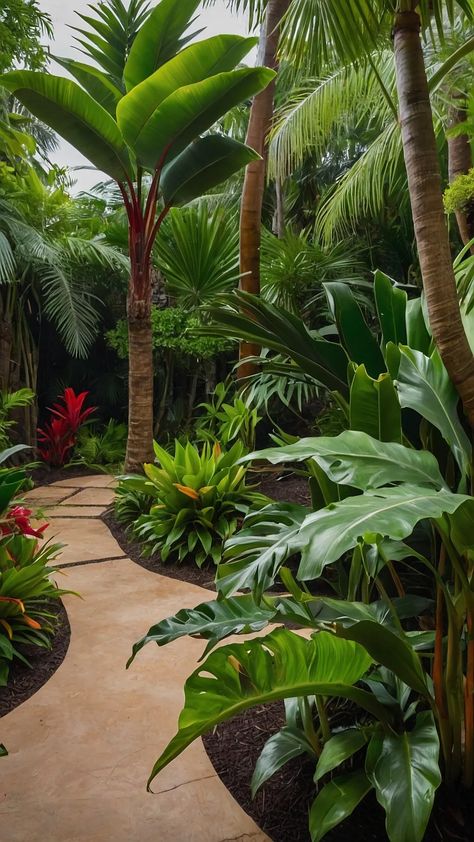 Tropical Transformation: 13 Landscape Ideas for a Lush Modern Oasis 36 Tropical Drought Tolerant Landscape, Front Yard Entrance, Yard Entrance, Sun Minimalist, Tropical Garden Plants, Tropical Backyard Landscaping, Balinese Garden, Luxurious Garden, Tropical Landscape Design