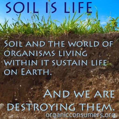 Land Pollution, Save Soil, Garden Wagon, Healthy Soil, Carbon Sequestration, Perennial Grasses, Save Our Earth, Save Nature, Electron Microscope