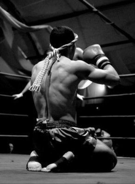 Combat Sport Aesthetic, Muay Thai Photography, Muay Thai Aesthetic, Thai Box, Boxe Thai, Boxing Images, King Cup, Muay Thai Training, Boxing Quotes