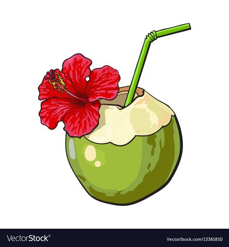 Coconut Vector, Coconut Cocktail, Red Hibiscus Flower, Coconut Drink, Indian Illustration, Coconut Drinks, Red Hibiscus, Food Illustration Art, Cocktail Drink