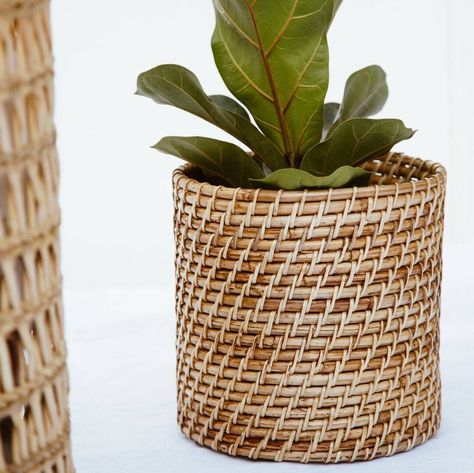 Rattan Planters, Planter Pots Indoor, Plant Pot, Indoor Planters, Garden Planters, Potted Plants, Outdoor Gardens, United Kingdom, Planter Pots