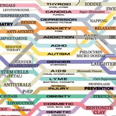 Holistic Healing Web, Healing Web Poster, Healing Web Map, Healing Web Chart, The Healing Web Chart, The Healing Web, Web Diagram, Healing Web, Herbs Medicinal