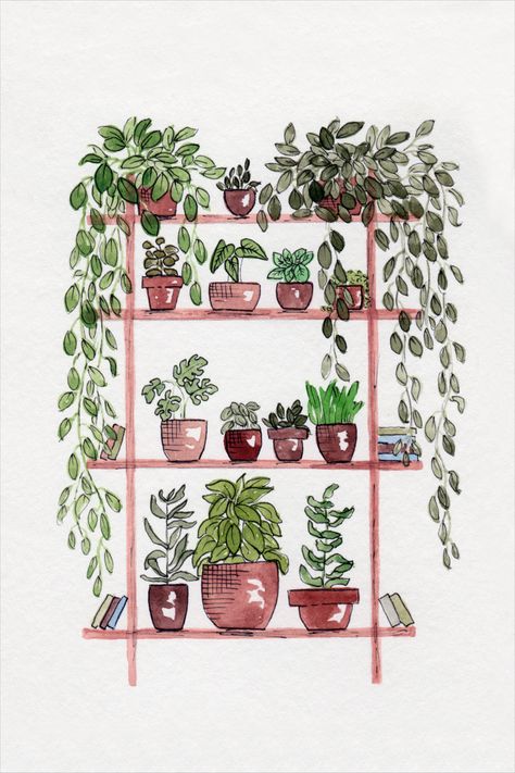 Shelf Plants, Plant Art Print, Garden Watercolor, Plant Shelf, Watercolor Plants, Pen And Watercolor, Plant Shelves, Plant Art, Watercolor Cards