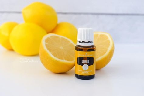 All About Lemon Essential Oil Lemon Essential Oil Recipes, Lemon Seeds, Lemon Essential Oil, Sticker Removal, Diffuser Recipes, Citrus Oil, Lemon Oil, Lemon Recipes, Essential Oil Recipes