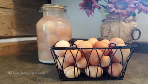 Fresh, unwashed bounty from our sweet hens, Water glassing is a great way to preserve eggs for use in wintertime when the hens' laying is more sparse. Homemade Self Rising Flour, Bisquick Mix Homemade, Dehydrated Zucchini, Glassing Eggs, Dehydrated Zucchini Chips, Preserve Eggs, Preserving Eggs, Ranch Dressing Recipe Homemade, Homemade Bisquick