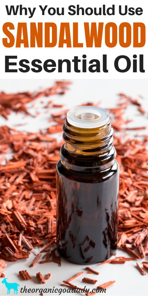 Why You Should Use Sandalwood Essential Oil - The Organic Goat Lady Sandalwood Essential Oil Benefits, Sandalwood Oil Benefits, Sandlewood Essential Oil, Sandalwood Essential Oil, Essential Oils Gifts, Sandalwood Oil, Essential Oil Benefits, Carrier Oil, Essential Oil Diffuser Blends