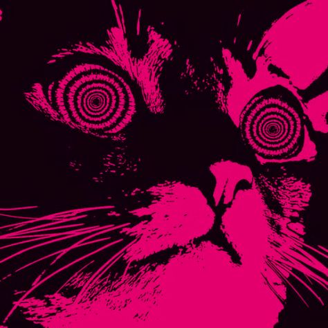 Pink Grunge Aesthetic, Pink And Black Wallpaper, Pink Goth, Pink Grunge, Arte Peculiar, Catty Noir, Dark Magenta, Pink Vibes, Goth Aesthetic