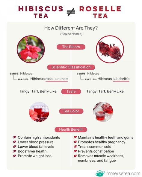 Hibiscus Tea VS Roselle Tea (infographic) Infographic Tea Infographic, Roselle Tea, Hibiscus Tea Benefits, Hibiscus Flower Tea, Herbal Tea Benefits, Teas Recipes, Healing Tea, Herbal Teas Recipes, Tea Health Benefits