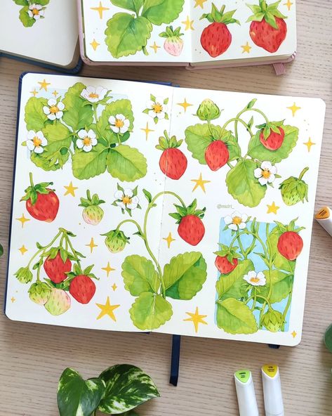 Marta Głowacka 🌿✏️ botanical illustrator | strawberries, strawberries and more strawberries! 🍓☁️✨ Swipe to see a full sketchbook spread and scans of some of my favorite strawberry… | Instagram Full Sketchbook, Strawberry Watercolor, Sketchbook Spread, Strawberry Art, Doodle Paint, Diy Pottery Painting, Nature Card, Sketchbook Drawings, Gouache Art